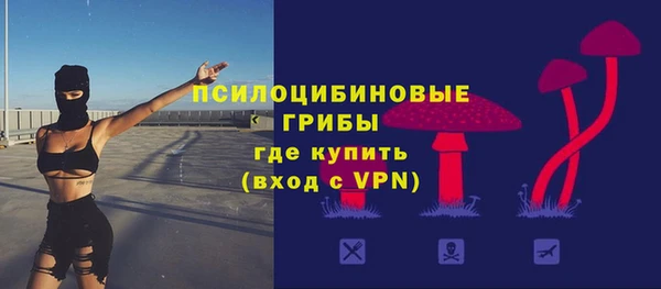 трава Белокуриха