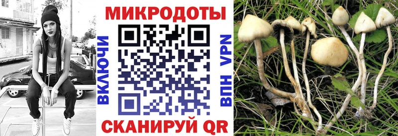 Галлюциногенные грибы Cubensis Курильск